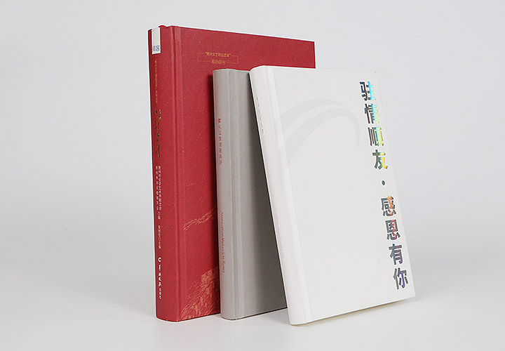 精裝書案例